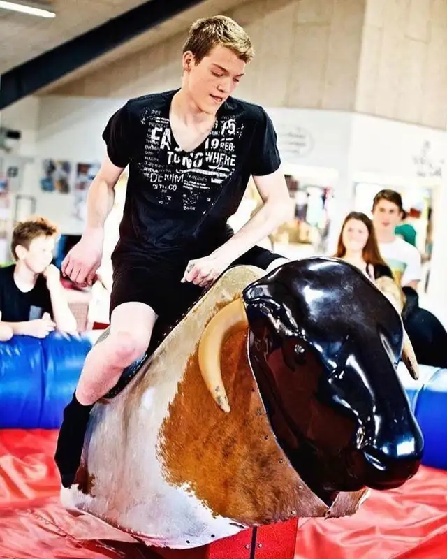 Rodeostier