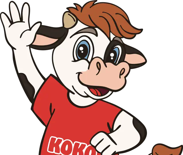 Velkommen til Koko!