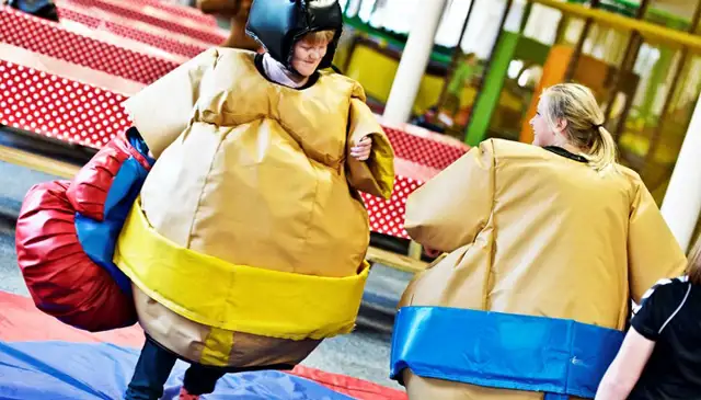 Sumo-Ringen